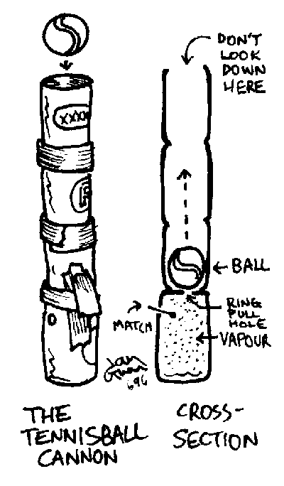 Homemade cannon